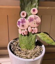 Load image into Gallery viewer, ONE OF A KIND- The Flower Child