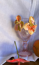 Load image into Gallery viewer, ONE OF A KIND: Botanical Blossom 🪷 ( Personal Favorite )