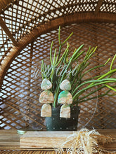 Load image into Gallery viewer, ONE OF A KIND- Gypsy