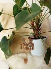 Load image into Gallery viewer, ONE OF A KIND- ‘ Driftwood Nude’
